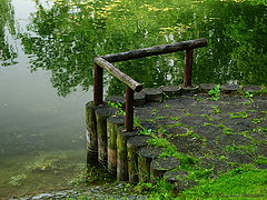 photo "***"