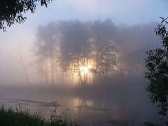 фото "Утренний туман"