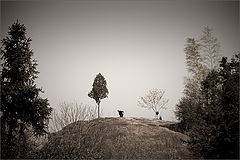 photo "***"
