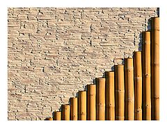 фото "Pan flute"