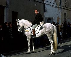 photo "sant antoni"