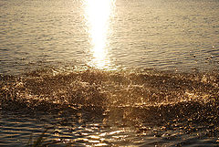 photo "***"