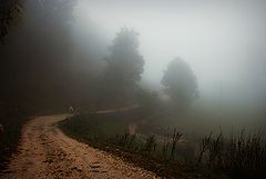 photo "***"