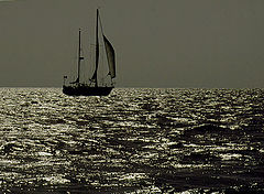 photo "NAVIGATION"