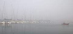 photo "Yachts in fog"