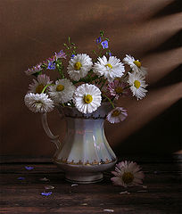photo "***"