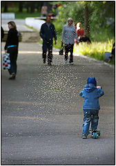photo "flies"