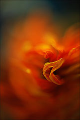 фото "(&)"