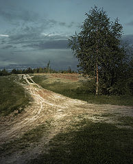 фото "Маслом"