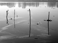 photo "Pateira. ( Portugal )"