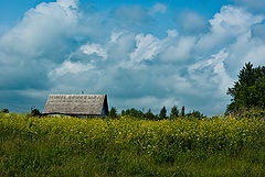 photo "The house in a grass"