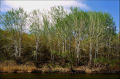 photo "Ural. Spring."