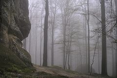 photo "In Carpathians"