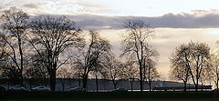 photo "***"
