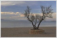 photo "Spring evening in l'Escala"