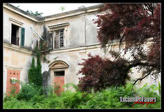 photo "Old House"