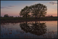 photo "Evening at the Lake"