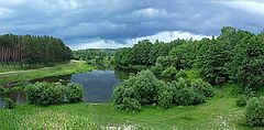 фото "Перед дождем"