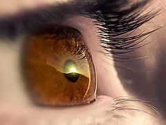photo "Separation"