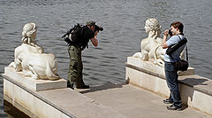 photo "***"