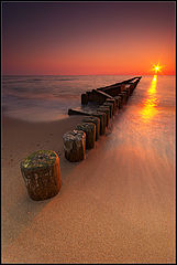 фото "*"