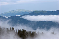 фото "верхушки"