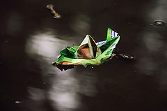 фото "кораблекрушение"