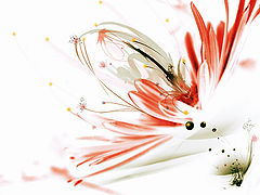 photo "***"