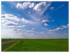 фото "The Sky, the Road  and the Corn field"