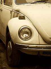 фото "Bug"