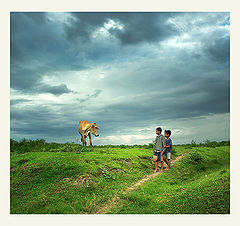 photo "Shepherd boy"