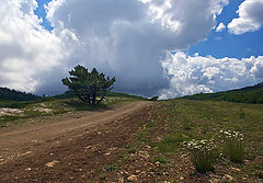 photo "***"