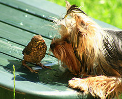 photo "friends?"