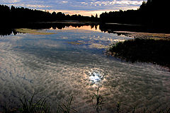 photo "***"