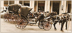 фото "parking"