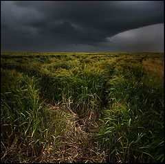 photo "Escaping from the Storms"
