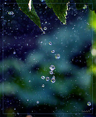 фото "Дождь"
