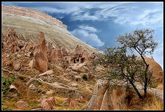 photo "landscape"