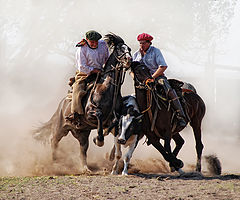 фото "men and horses.."