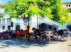 photo "Havana from the window"
