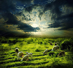 photo "Fairy Tale"