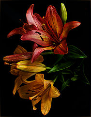 photo "* * *"