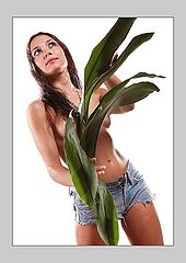 фото "tropical girl"
