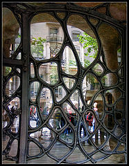 photo "Grid"