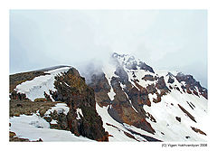 photo "Top"