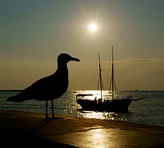 photo "Silhouettes at sunset"