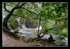 photo "On a visit at a fairy tale"