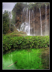 photo "***"