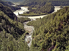 photo "Down below the river"