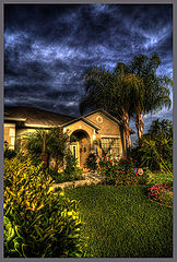 фото "A house with two palms"